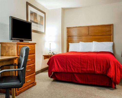 Sea Drift Inn image 15